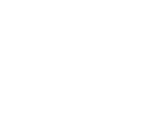 Car icon indicating Inspection