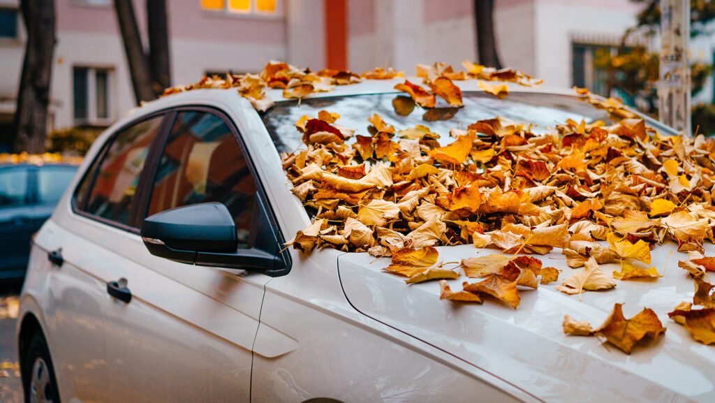 Mechanic performing Wilmette fall car maintenance service