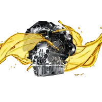 Professional oil change service