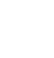 Icon representing certification