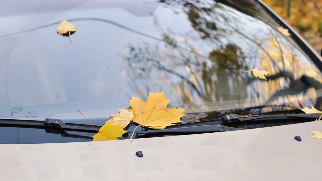 Spring car care inspection in Libertyville auto shop