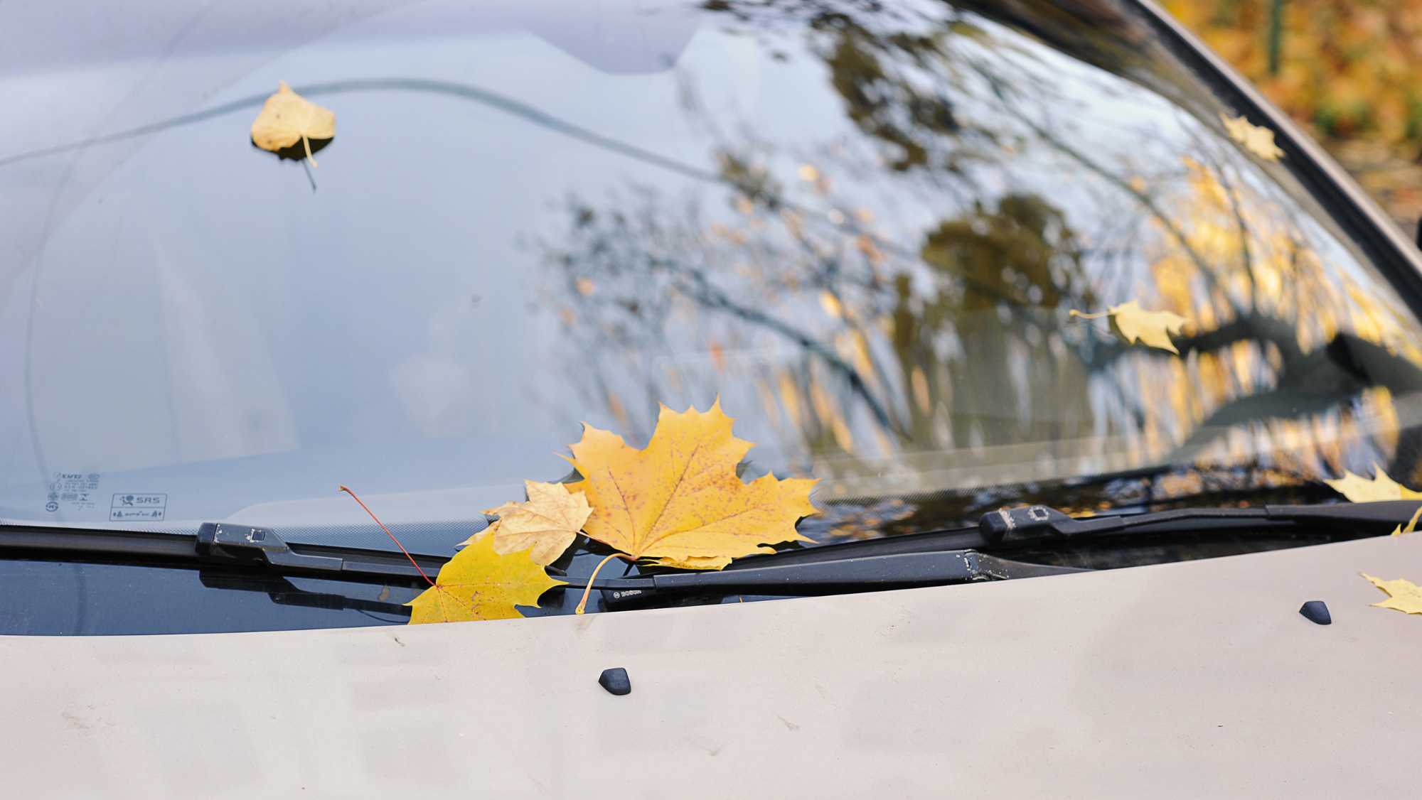 Spring car care inspection in Libertyville auto shop